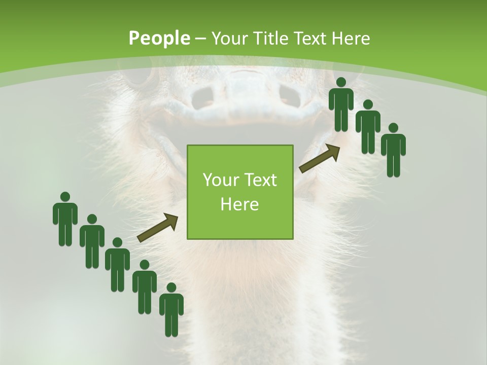 Beak Emu Tall PowerPoint Template