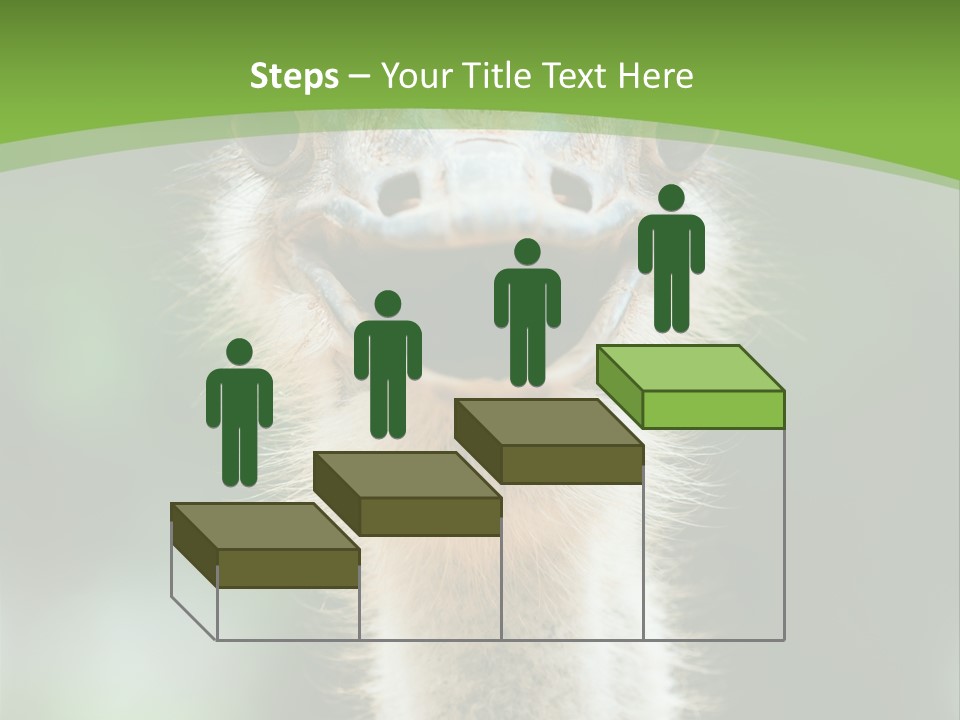 Beak Emu Tall PowerPoint Template