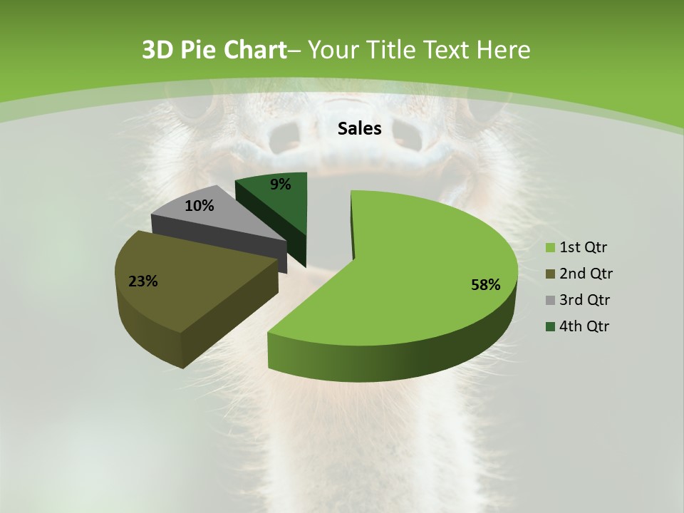 Beak Emu Tall PowerPoint Template