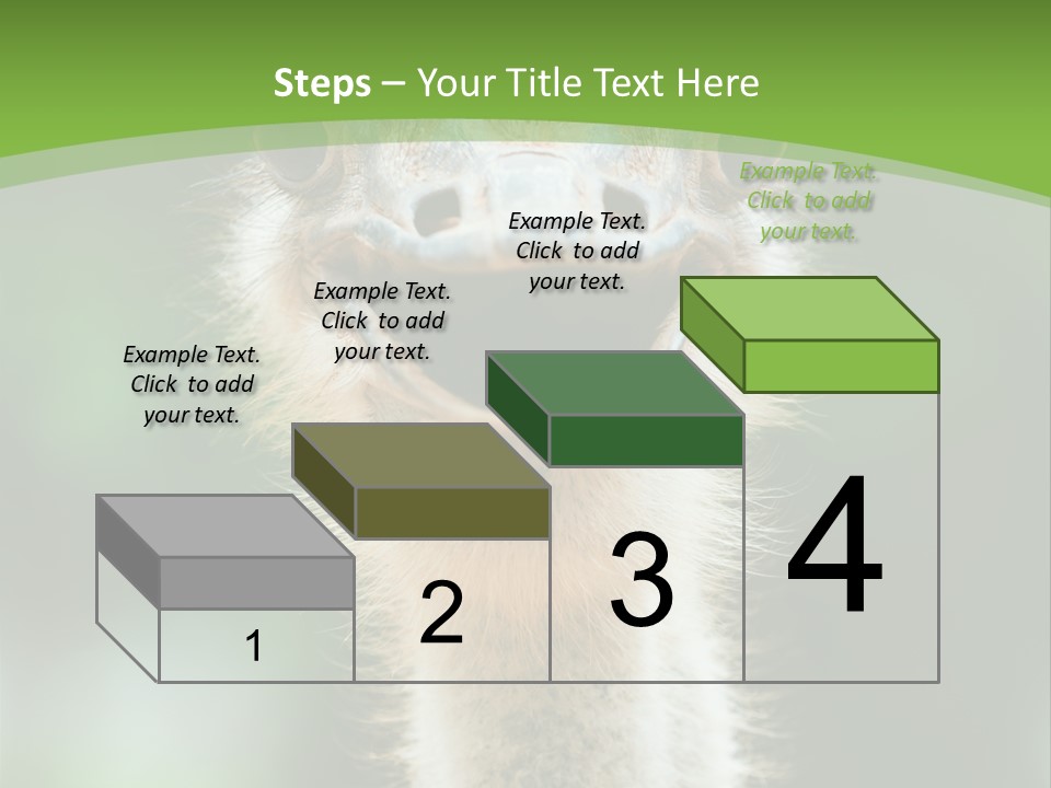 Beak Emu Tall PowerPoint Template