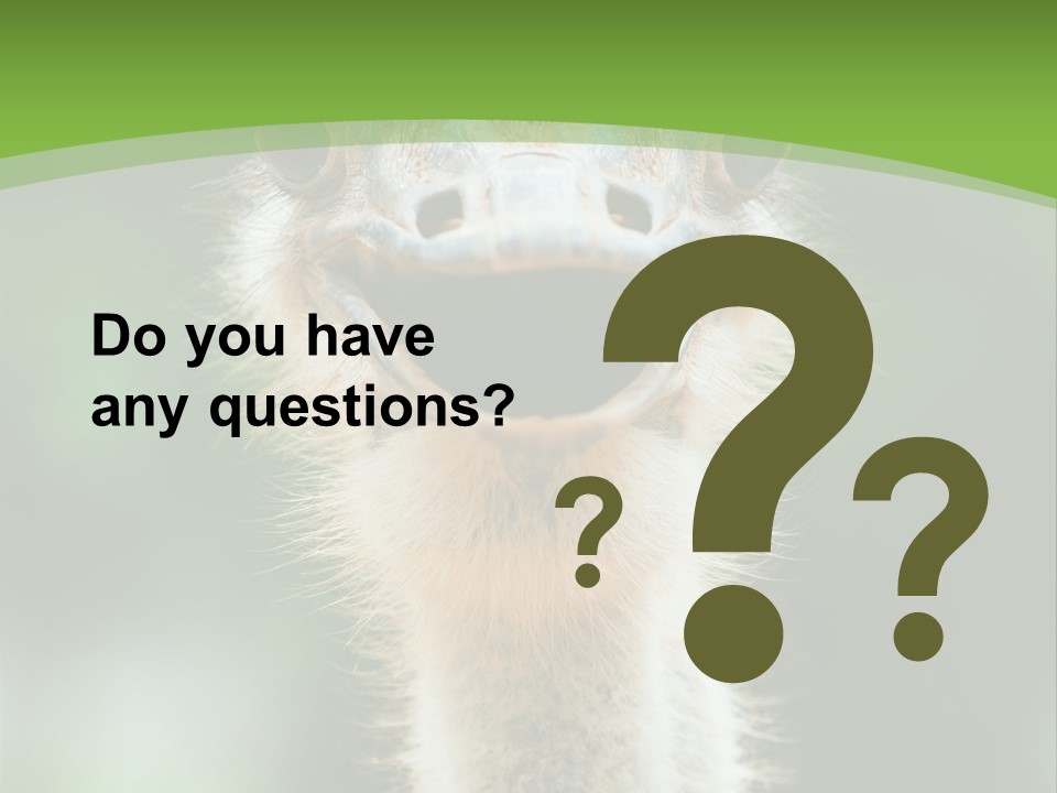 Beak Emu Tall PowerPoint Template