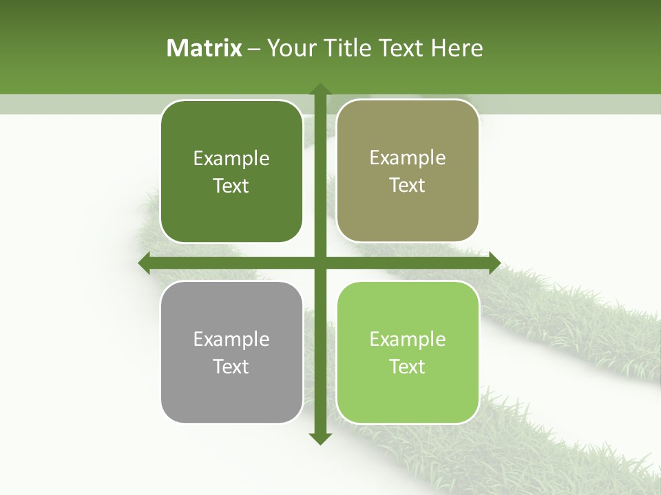 Natural Summer Flora PowerPoint Template