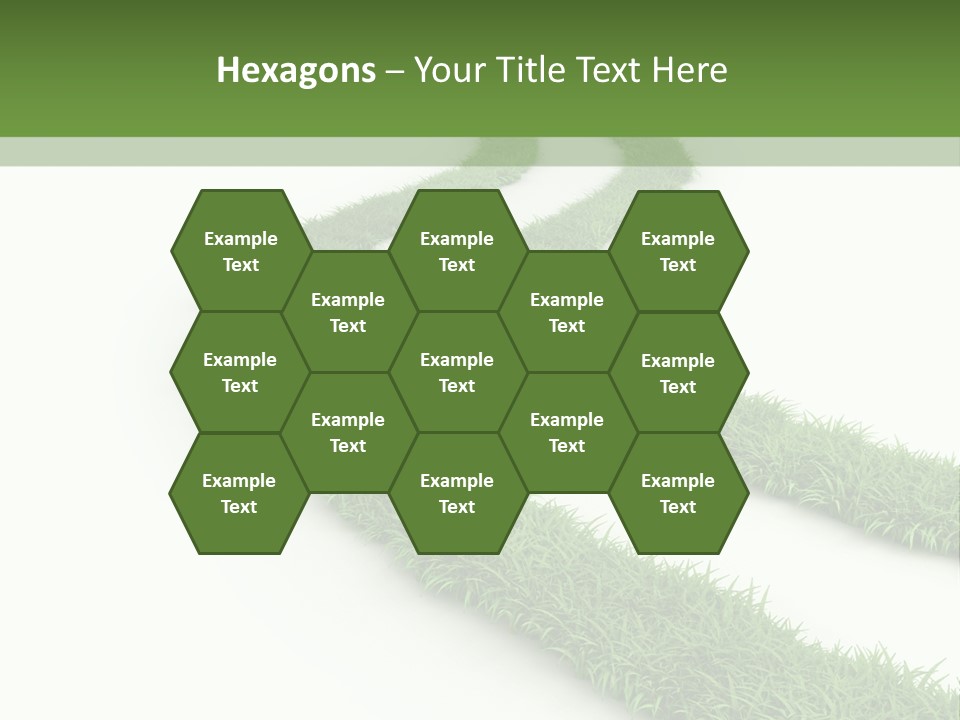 Natural Summer Flora PowerPoint Template