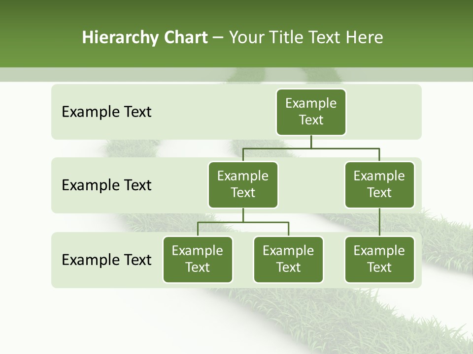 Natural Summer Flora PowerPoint Template