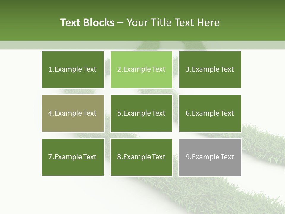 Natural Summer Flora PowerPoint Template