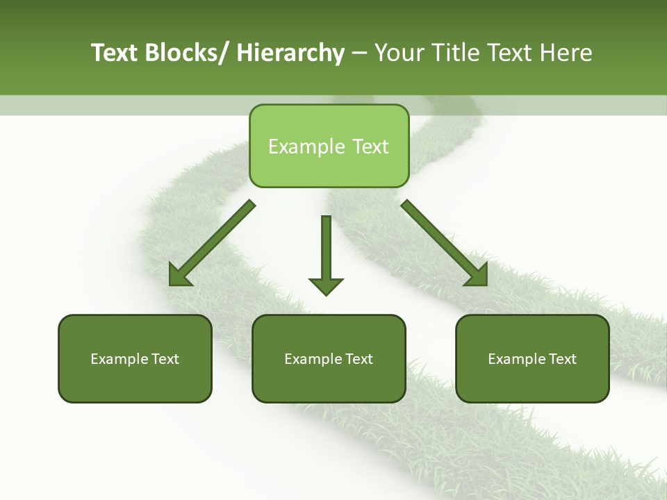 Natural Summer Flora PowerPoint Template