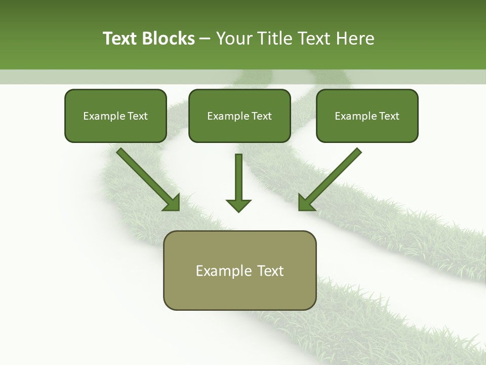 Natural Summer Flora PowerPoint Template