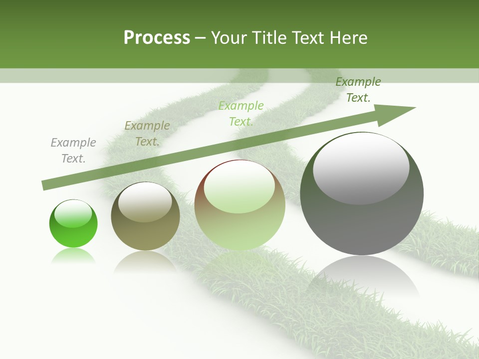 Natural Summer Flora PowerPoint Template