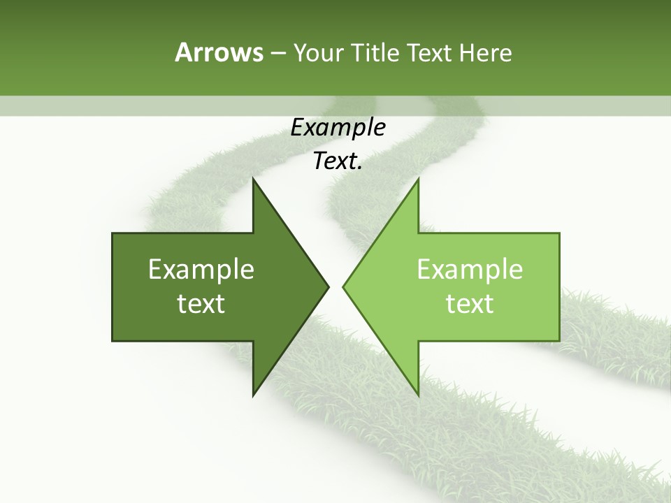 Natural Summer Flora PowerPoint Template