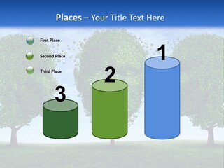 Symbol Summer Nature PowerPoint Template