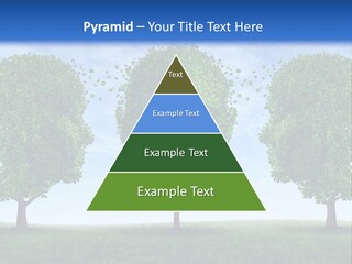 Symbol Summer Nature PowerPoint Template