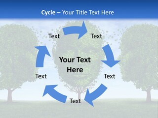 Symbol Summer Nature PowerPoint Template