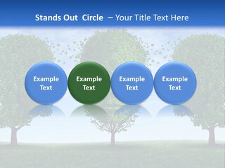 Symbol Summer Nature PowerPoint Template