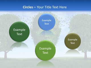 Symbol Summer Nature PowerPoint Template