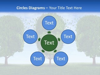 Symbol Summer Nature PowerPoint Template