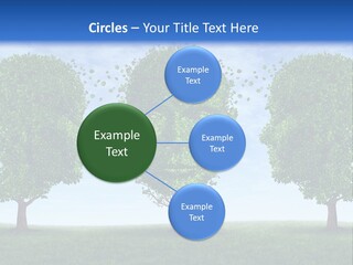 Symbol Summer Nature PowerPoint Template