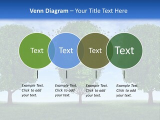 Symbol Summer Nature PowerPoint Template