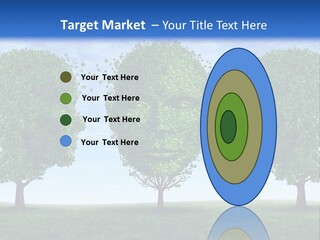 Symbol Summer Nature PowerPoint Template