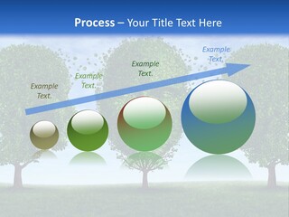 Symbol Summer Nature PowerPoint Template