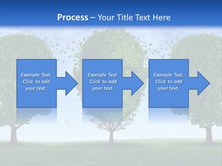 Symbol Summer Nature PowerPoint Template