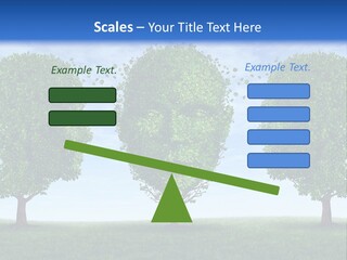 Symbol Summer Nature PowerPoint Template