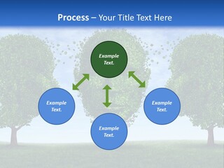 Symbol Summer Nature PowerPoint Template