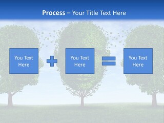 Symbol Summer Nature PowerPoint Template