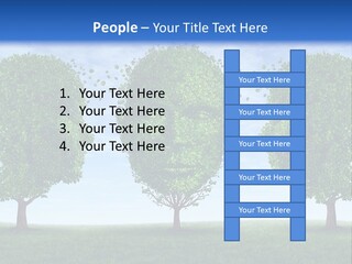 Symbol Summer Nature PowerPoint Template