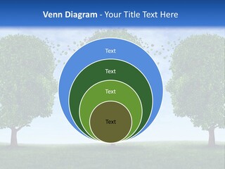 Symbol Summer Nature PowerPoint Template