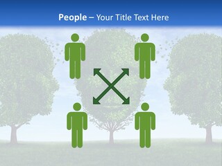 Symbol Summer Nature PowerPoint Template