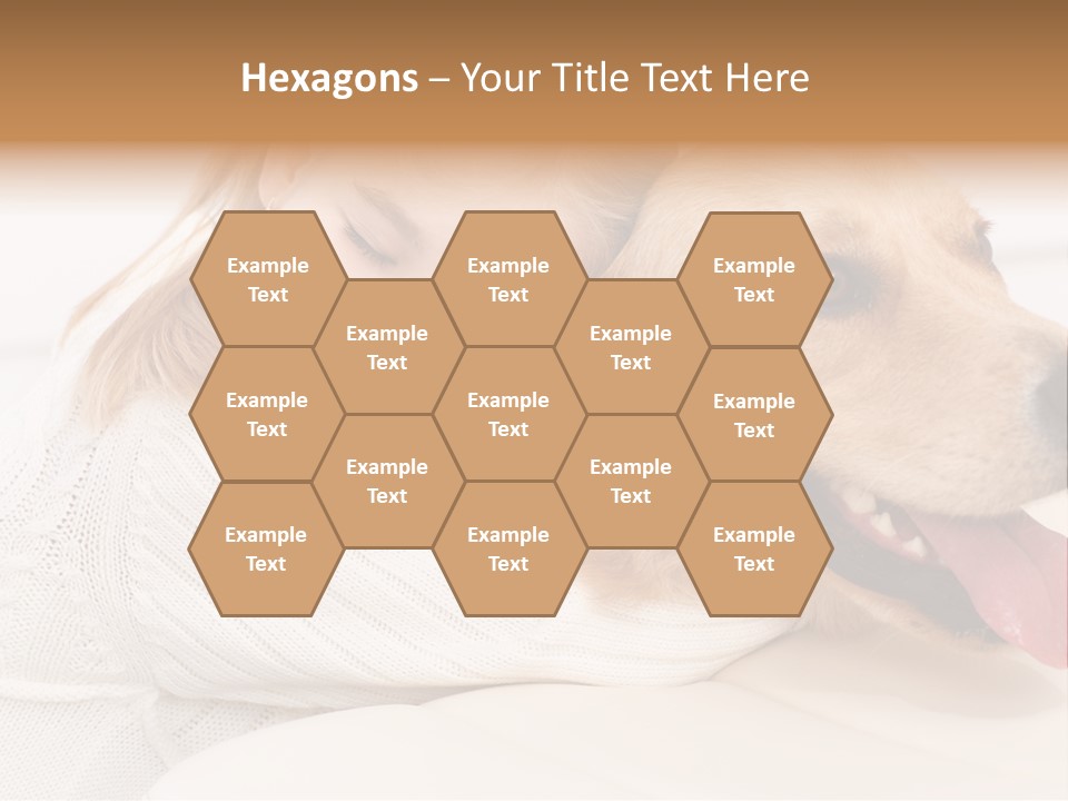 Pet Face Caucasian PowerPoint Template