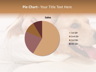 Pet Face Caucasian PowerPoint Template