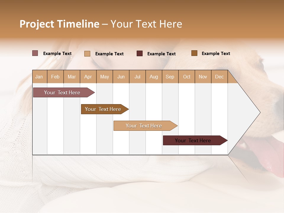 Pet Face Caucasian PowerPoint Template