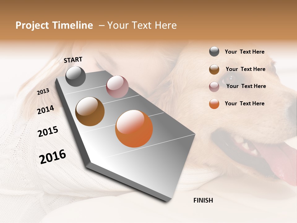 Pet Face Caucasian PowerPoint Template