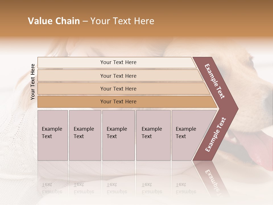 Pet Face Caucasian PowerPoint Template