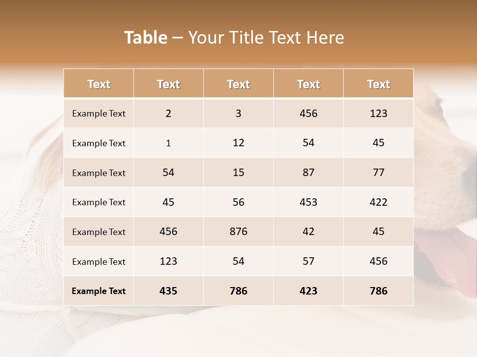 Pet Face Caucasian PowerPoint Template