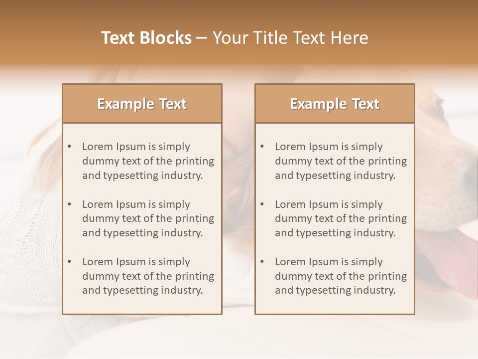 Pet Face Caucasian PowerPoint Template