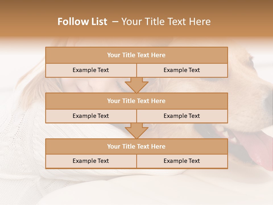 Pet Face Caucasian PowerPoint Template
