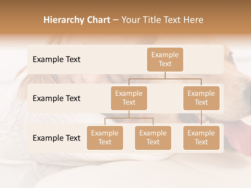 Pet Face Caucasian PowerPoint Template