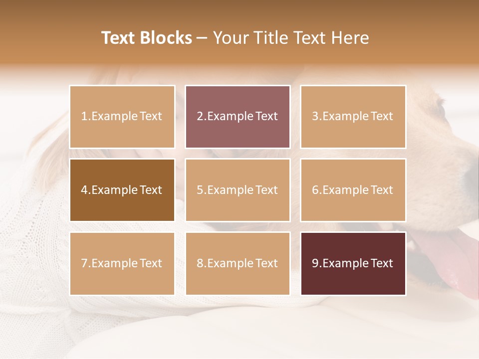 Pet Face Caucasian PowerPoint Template