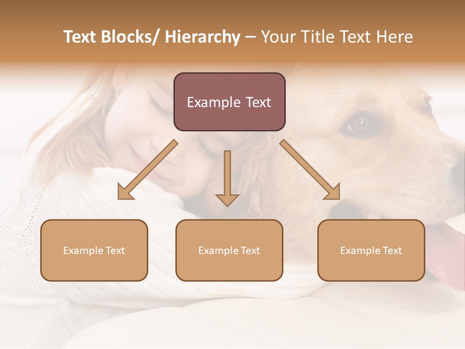 Pet Face Caucasian PowerPoint Template