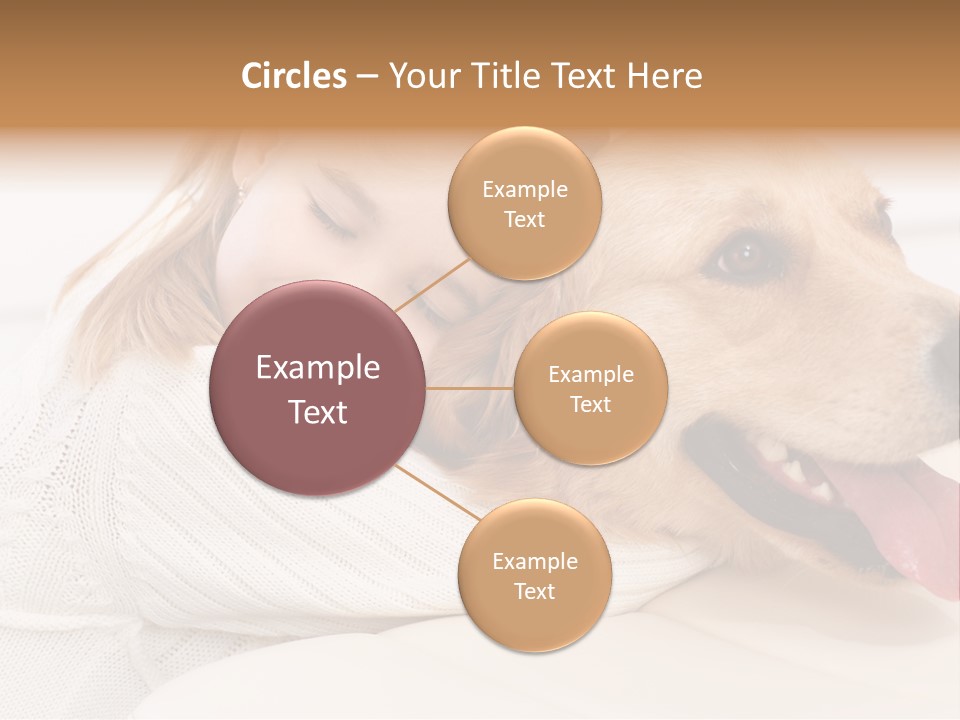 Pet Face Caucasian PowerPoint Template