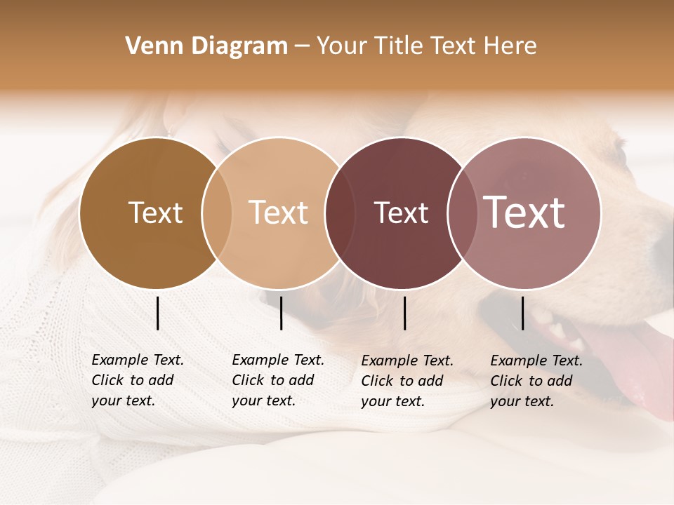Pet Face Caucasian PowerPoint Template