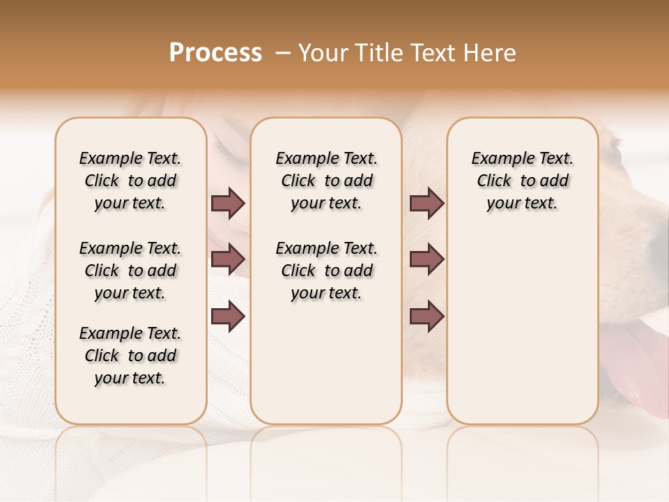 Pet Face Caucasian PowerPoint Template