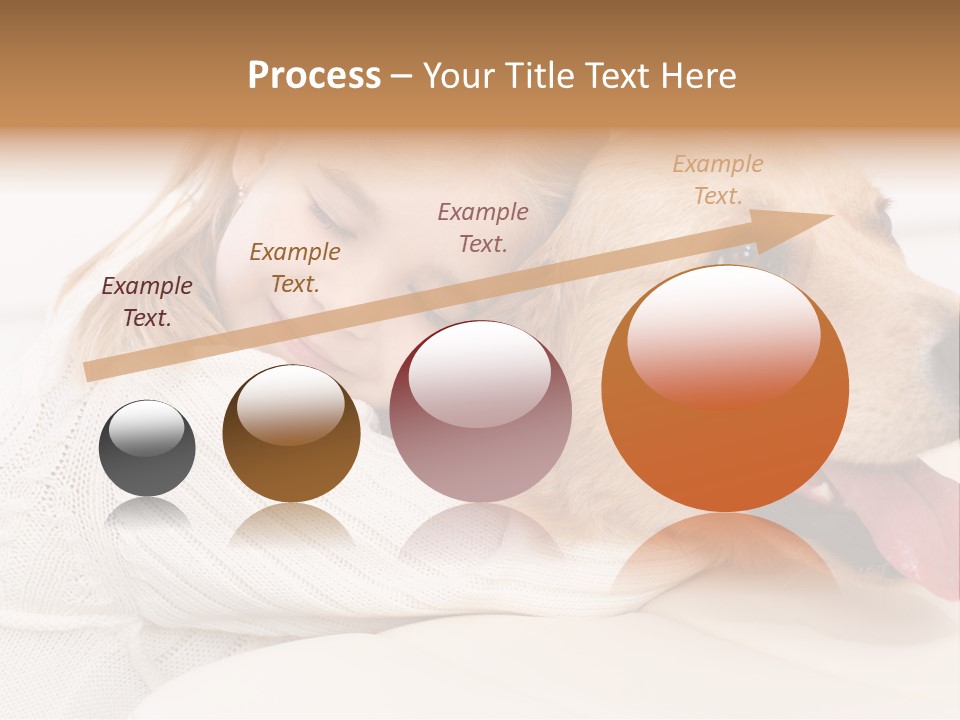 Pet Face Caucasian PowerPoint Template