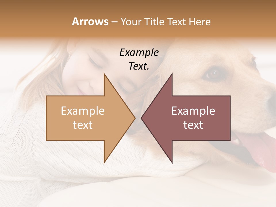 Pet Face Caucasian PowerPoint Template