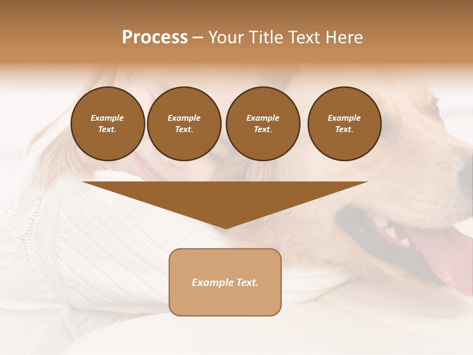 Pet Face Caucasian PowerPoint Template