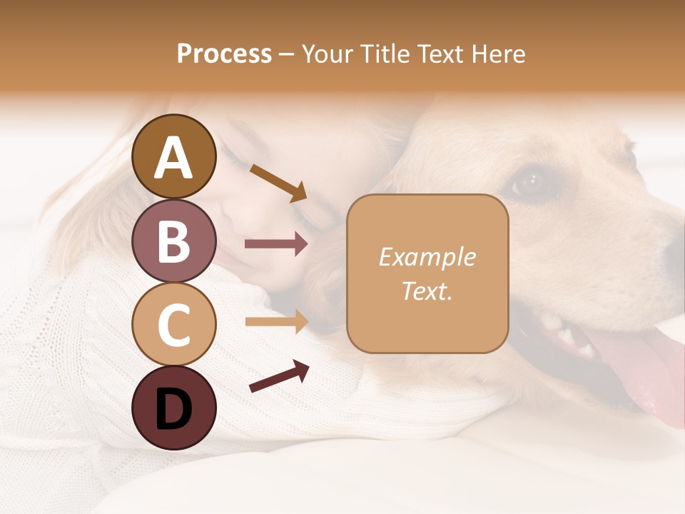 Pet Face Caucasian PowerPoint Template