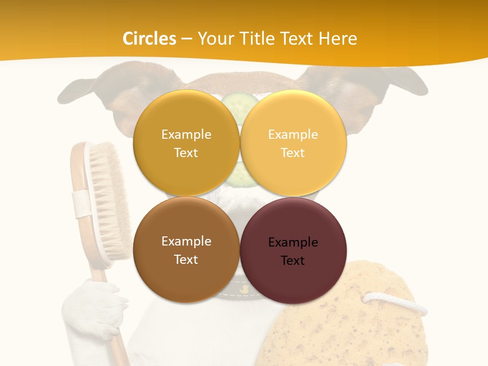 Healthy Body Treatment PowerPoint Template