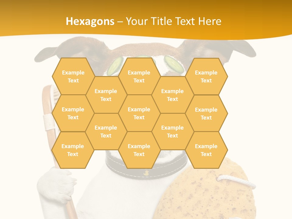 Healthy Body Treatment PowerPoint Template